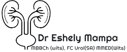 Kempton Park Male Urology . Female Urology · ‎Paediatric urology · ‎Circumcision · ‎Treatment of stone disease